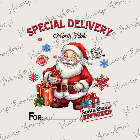 Santa | Special Delivery | DTF transfer | Sacks & Christmas Eve Boxes