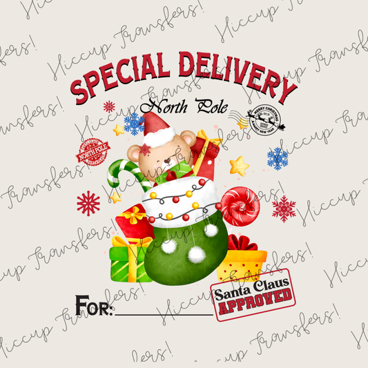 Cute Teddy | Special Delivery | DTF transfer | Sacks & Christmas Eve Boxes