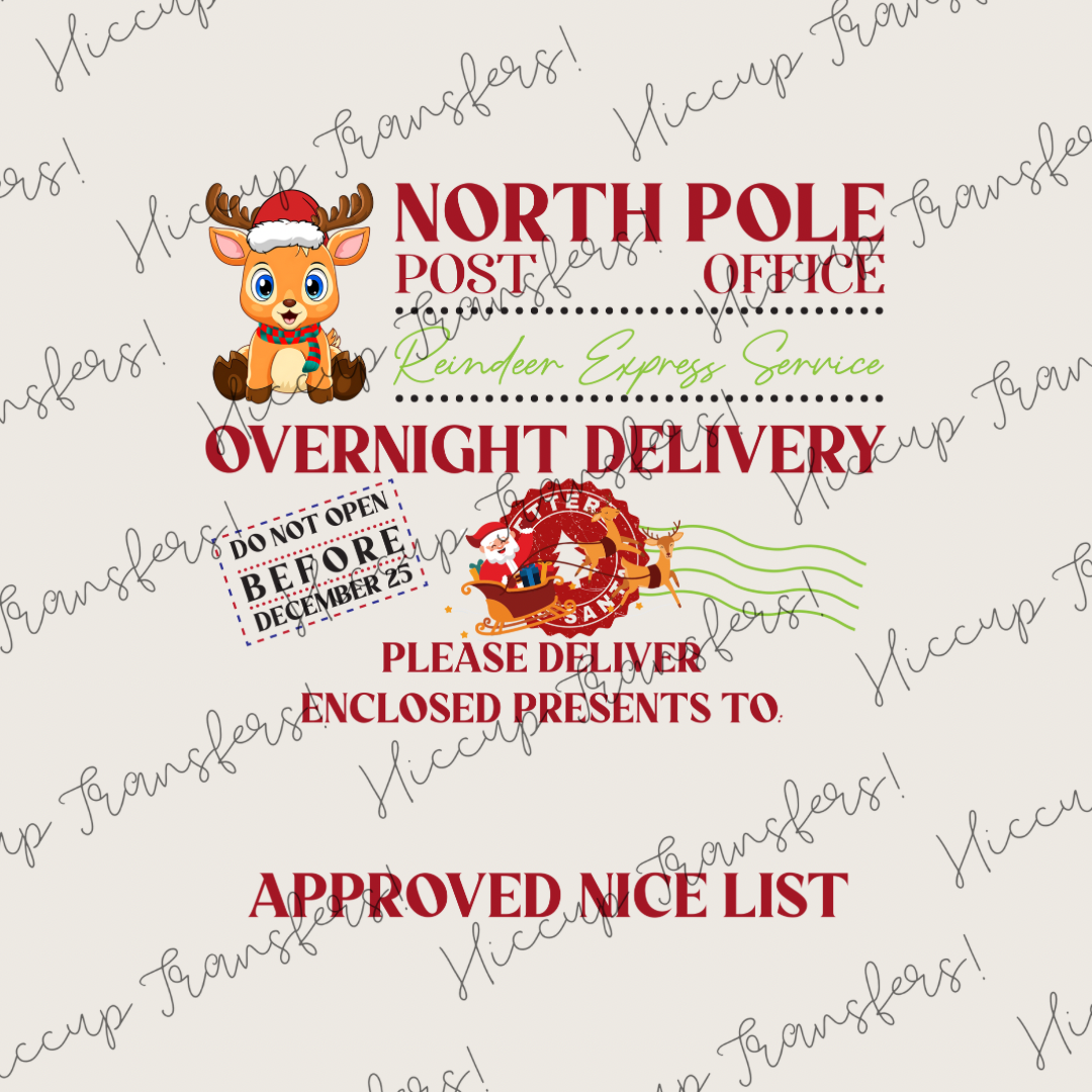 North Pole Overnight Special Delivery | DTF transfer | Sacks & Christmas Eve Boxes