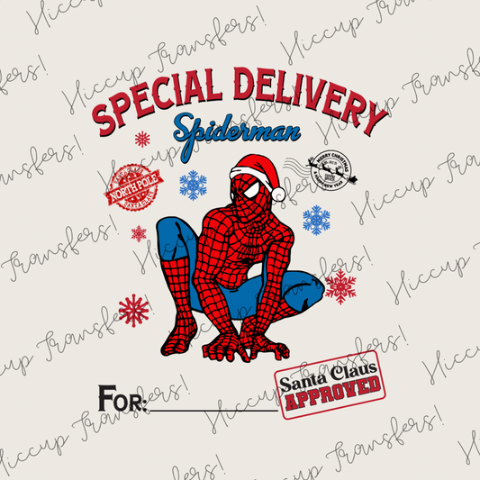 Spidey Special Delivery | DTF transfer | Sacks & Christmas Eve Boxes