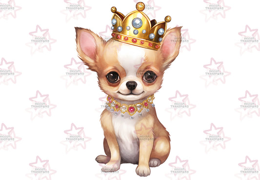 Chihuahua With Crown| DTF transfer
