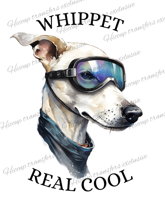 Whippet Real Cool | DTF transfer | Hiccup Exclusive