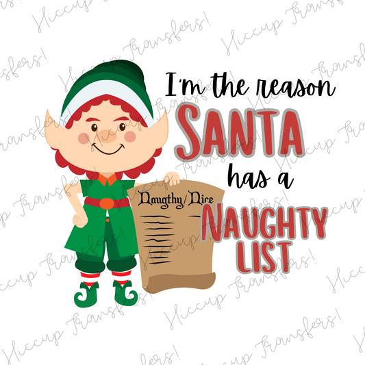 I’m The Reason Santa Has A Naughty List Christmas Pyjamas | DTF transfer | Hiccup Exclusive