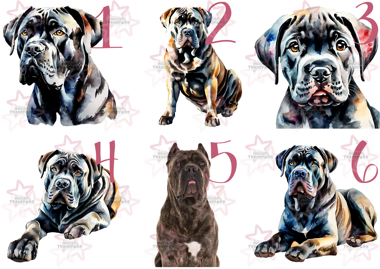 Cane Corso Dog 1 | UVDTF 3” Decal